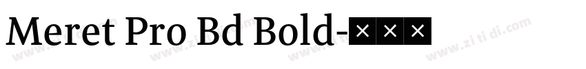 Meret Pro Bd Bold字体转换